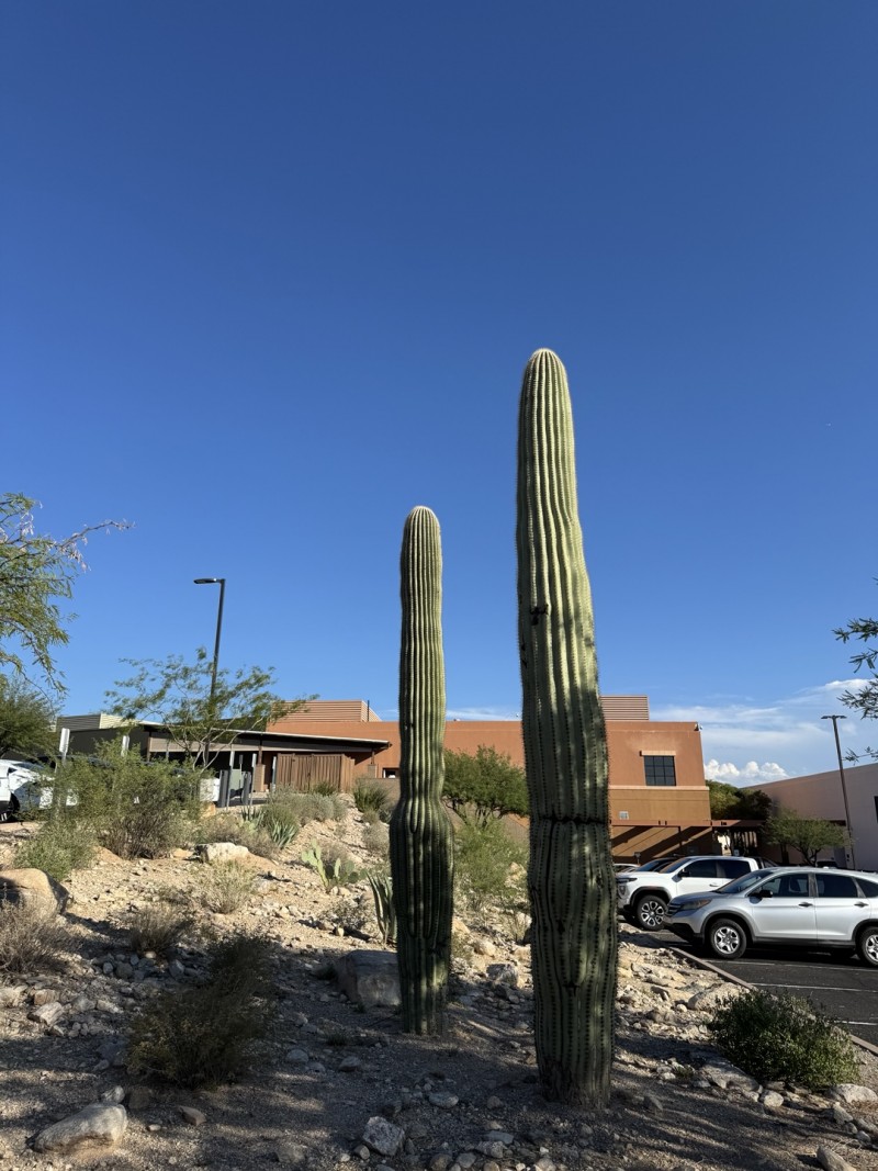 81283150d386b65683f192f317915075_1759108635_3466.jpg