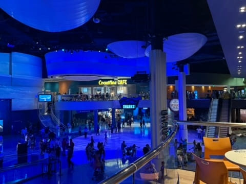 016a2bf19daf466b15962f2abff2ef52_1764578955_1371.jpg 016a2bf19daf466b15962f2abff2ef52_1764578955_1371.jpg